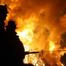 Wildland Firefighters